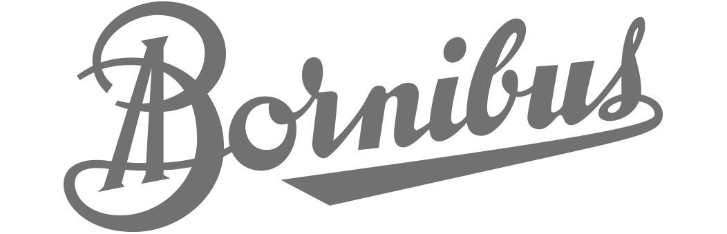 logo Bonribus